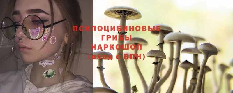 цены   блэк спрут   Псилоцибиновые грибы MAGIC MUSHROOMS  Десногорск 